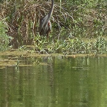 Inks Lake State Park - Parks Near Me - Burnet, Texas