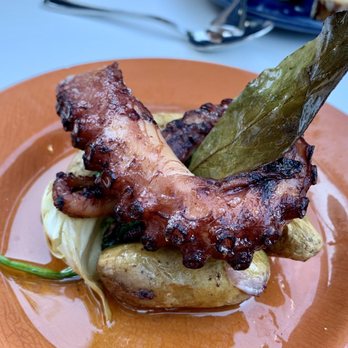Petiscos - Octopus (Oven Roasted in Olive Oil, $19)- 3.5/5 stars - Portuguese Near Me - San Jose, California