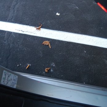 Caider Nation - SOME of the fat in my Philly - Food Trucks Near Me Caider Nation - SOME of the fat in my Philly - Food Trucks Near Me