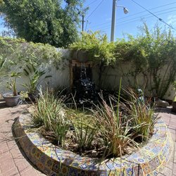 Antojitos Yocojihua - The out side garden