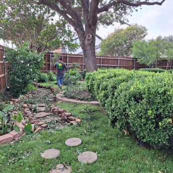 Wood Work Tree Service - Backyard-Clean up! - Tree Services Near Me - Fort Worth, Texas