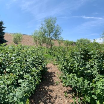 Naches River Gardens - Pick Your Own Farms Near Me - Yakima, Washington Naches River Gardens - Pick Your Own Farms Near Me - Yakima, Washington
