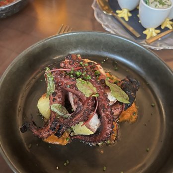 L'Ardente - Polpo - grilled octopus - charred on the ends but very tasty! - Italian Near Me - Washington, DC, District of Columbia