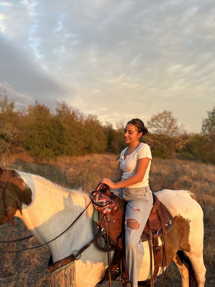 THE PAINTED PONY TRAILS & LESSONS Updated June 2024 30 Photos 375