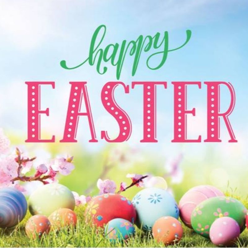 QUICK N CLEAN CARPET CARE 59 Photos & 151 Reviews Mission Viejo