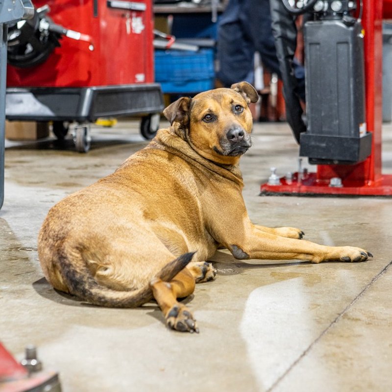 HOOD’S AUTOMOTIVE Updated August 2024 41 Photos & 14 Reviews 198