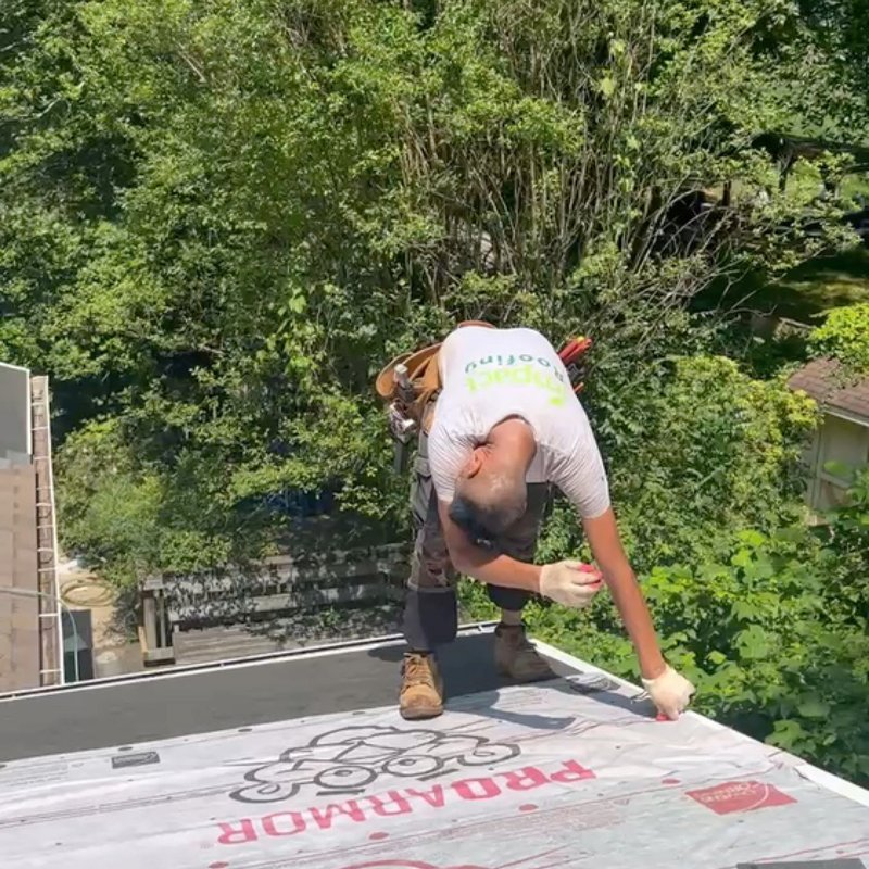 IMPACT ROOFING & RENOVATIONS 1741 Photos & 13 Reviews Alexandria