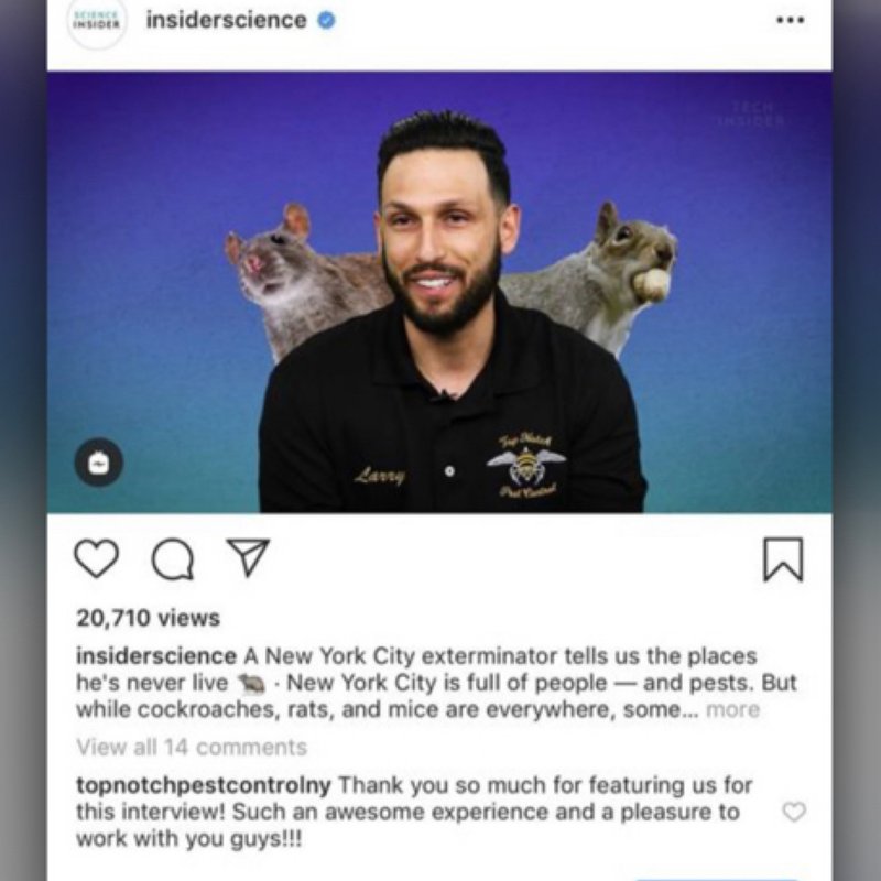 TOP NOTCH PEST CONTROL Updated August 2024 53 Photos & 239 Reviews