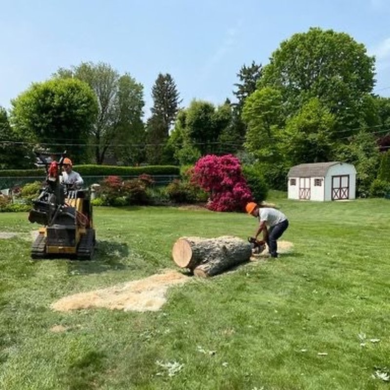 MM LAWN SERVICE AND LANDSCAPING Updated October 2024 71 Photos