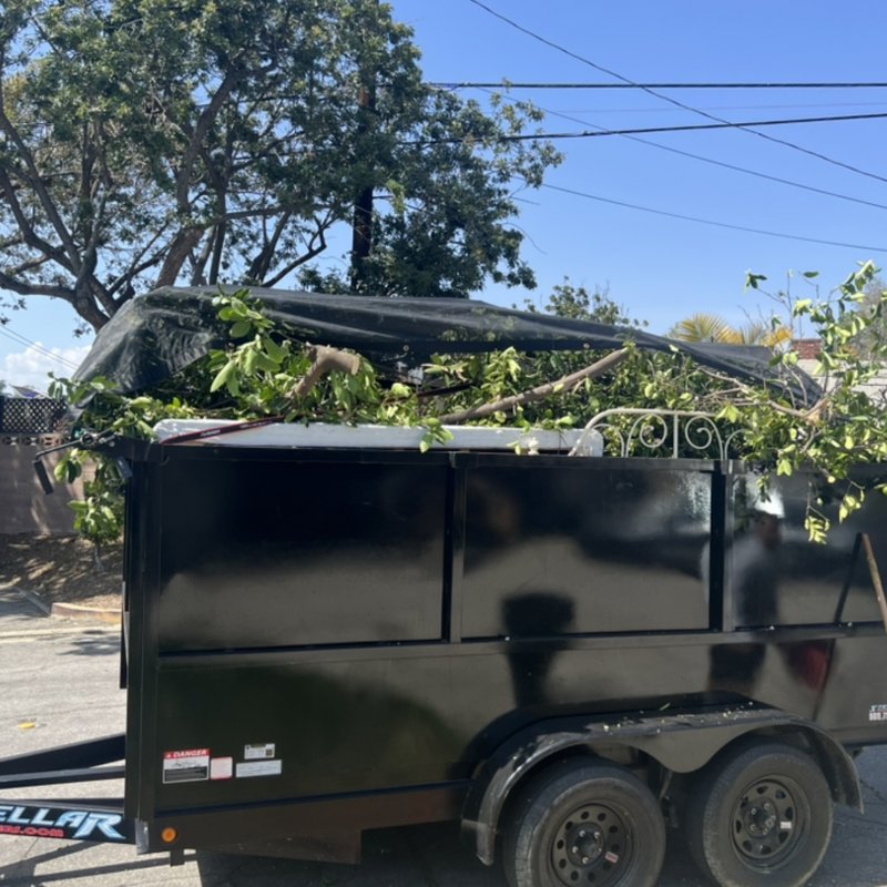 HSP SERVICES Updated September 2024 13 Photos Corona, California