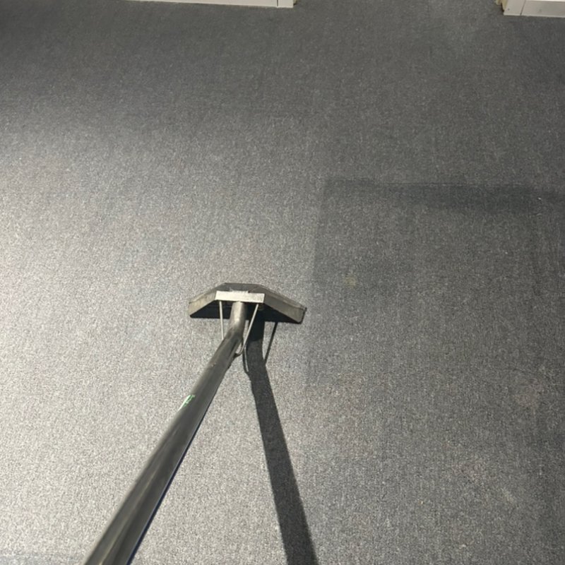 SPECIAL CARE CARPET & UPHOLSTERY CLEANING Updated July 2024 31 Photos 2807107 Avenue SE