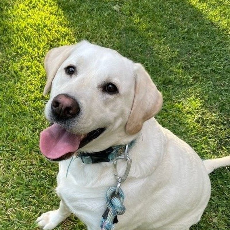 Weekly Quick Visits!