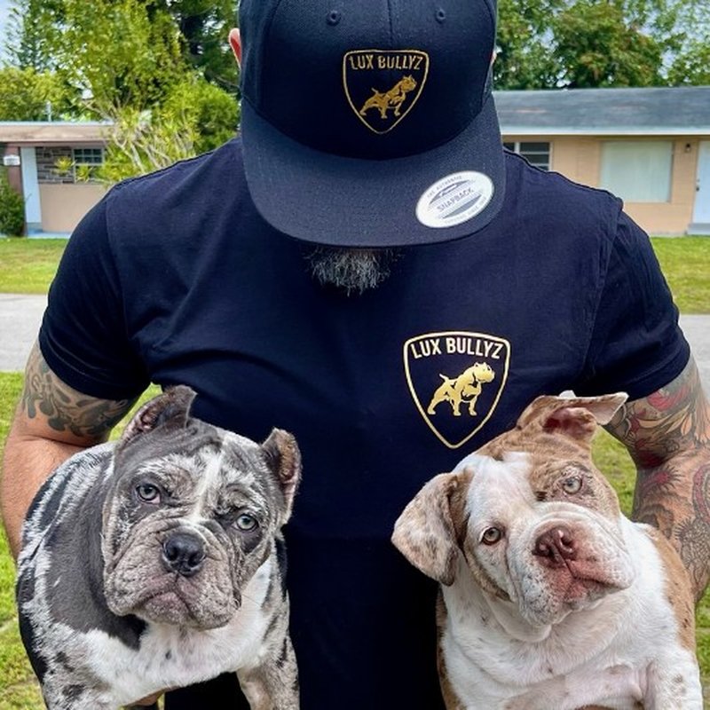 HIALEAH PRINTING Updated October 2024 12 Photos 2699 W 79th St