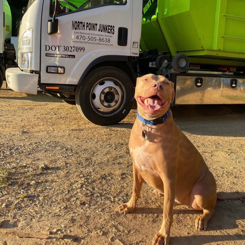 NORTH POINT JUNK REMOVAL Updated August 2024 221 Photos & 20