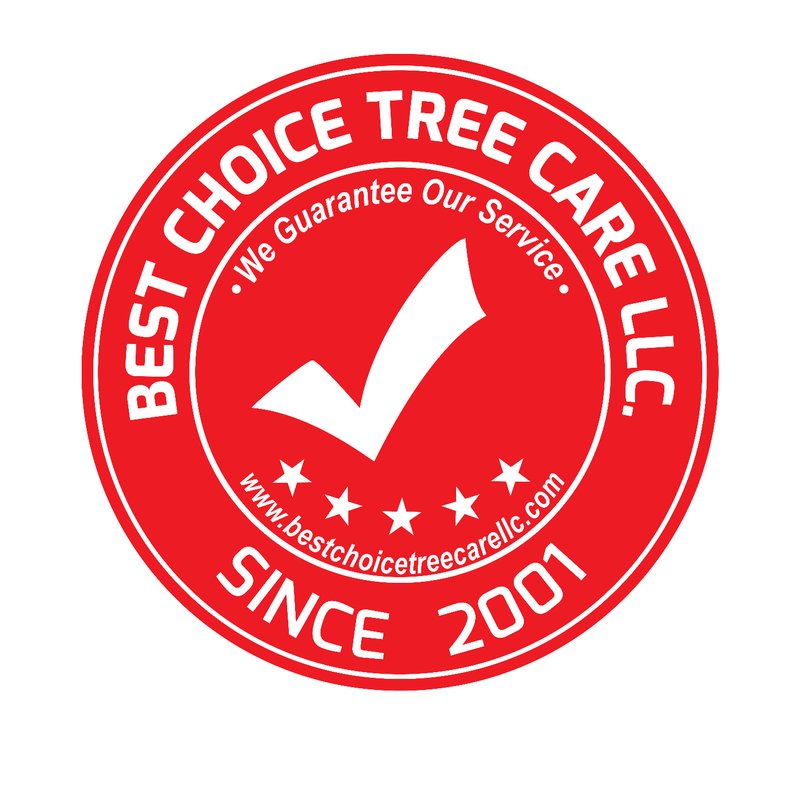 BEST CHOICE TREE CARE Updated July 2024 33 Photos Arlington