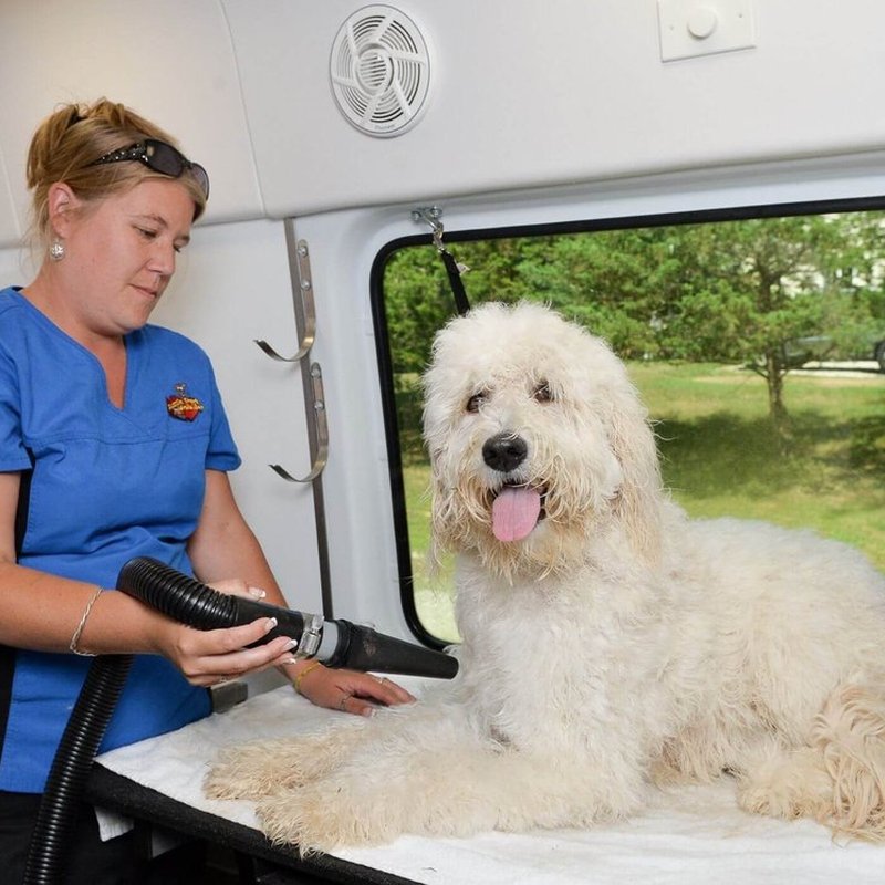 AUSSIE PET MOBILE RIVER OAKS Updated October 2024 174 Photos & 105