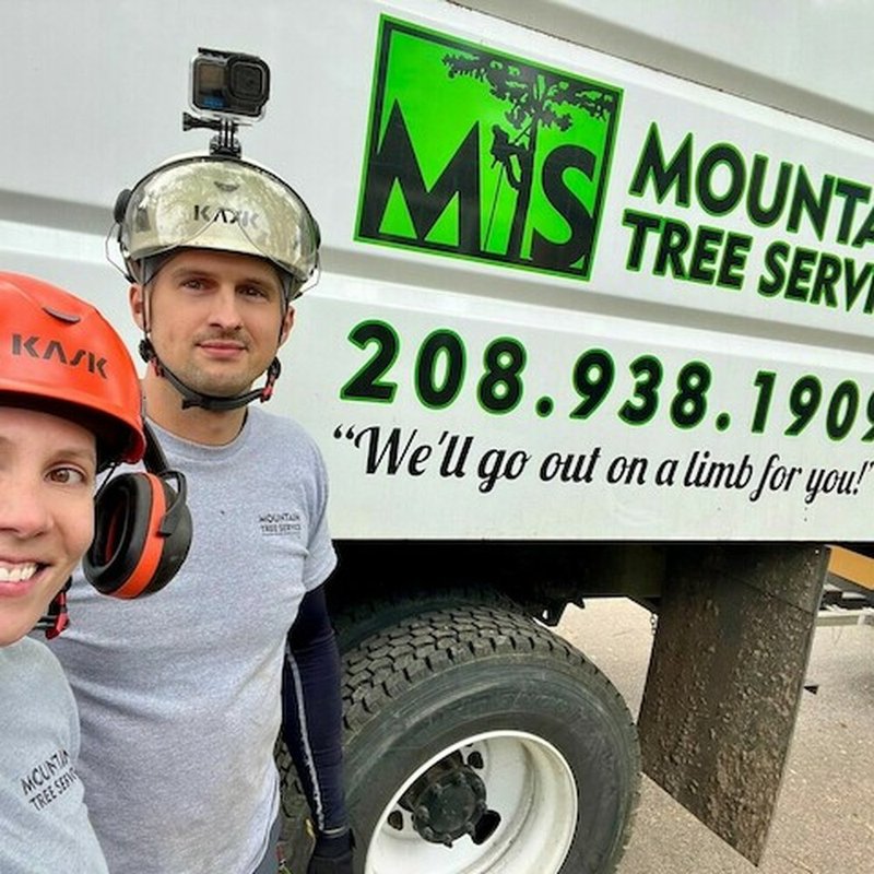 MOUNTAIN TREE SERVICE Updated August 2024 69 Photos & 20 Reviews