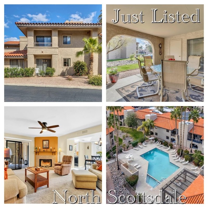 HOFFMAN REALTY GROUP Updated May 2024 226 Photos 8388 E Hartford Dr, Scottsdale, Arizona