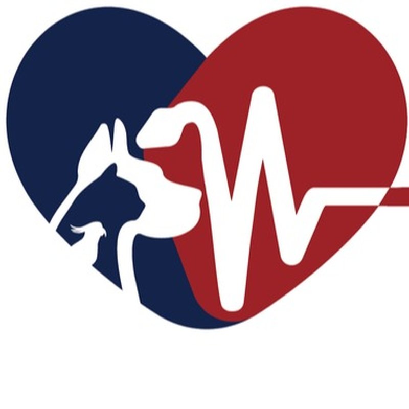 PAWS AND FEATHERS EMERGENCY HOSPITAL Updated September 2024 13