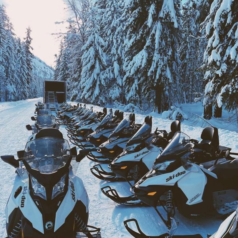 MOTOR TOYS Updated July 2024 75 Photos & 42 Reviews 1313 Spansky