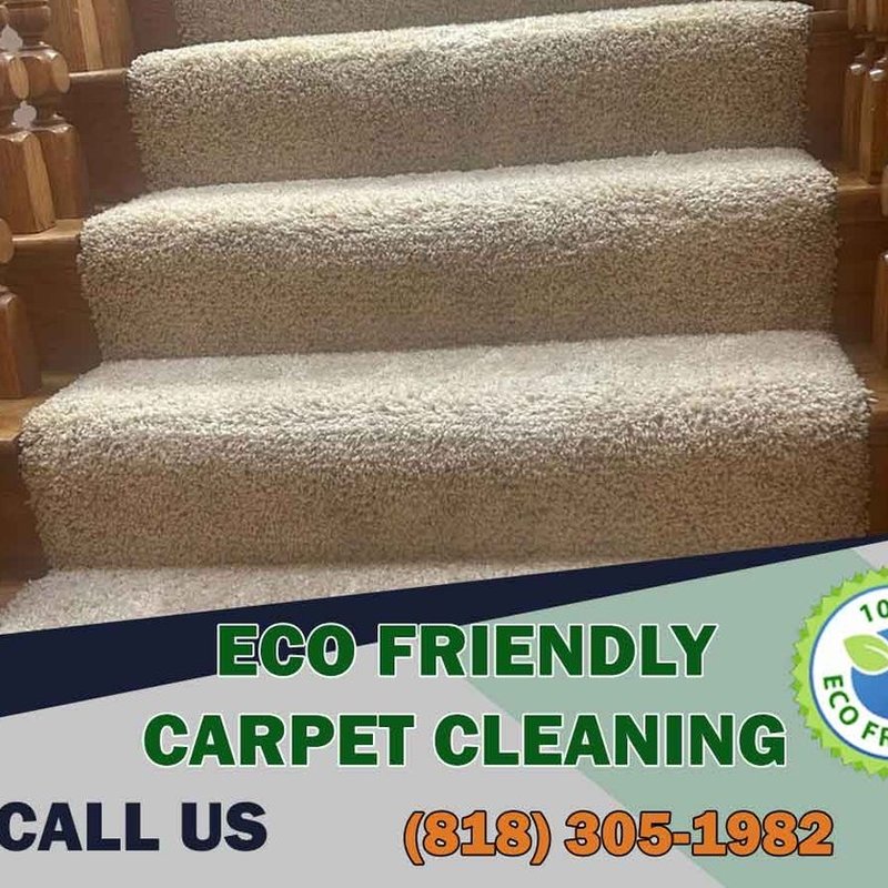 ECO FRIENDLY CARPET CLEANING Updated September 2024 49 Photos & 39