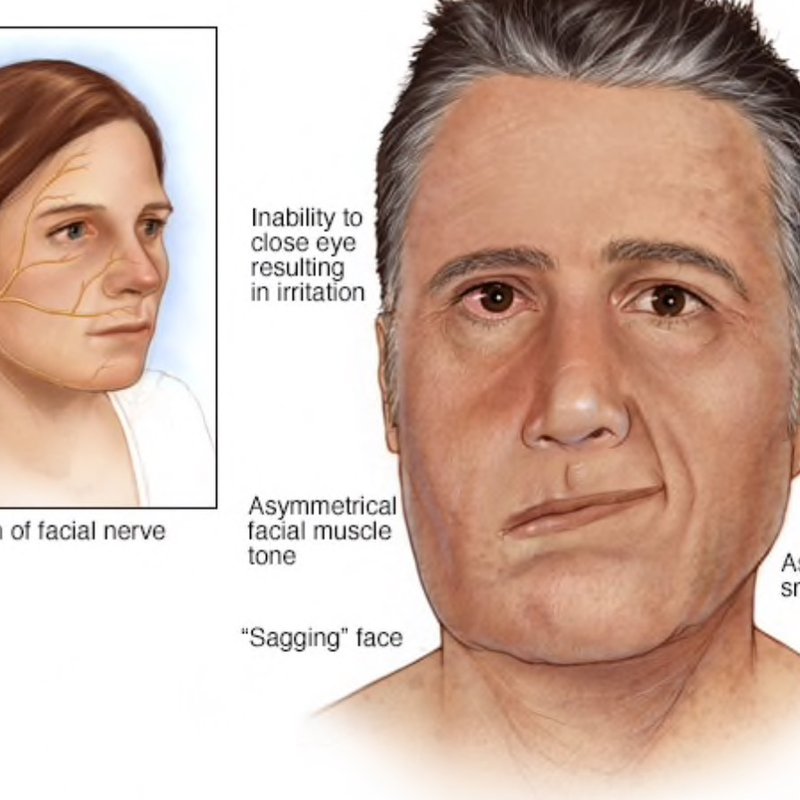 ELLICOTT ACUPUNCTURE CENTRE Updated September 2024 11 Photos 5054