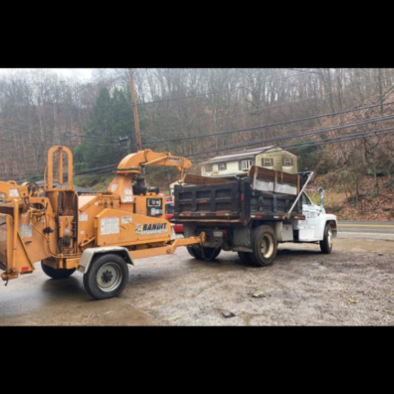 MILEY’S TREE EXPERTS Updated May 2024 27 Photos 1761 Huber Rd