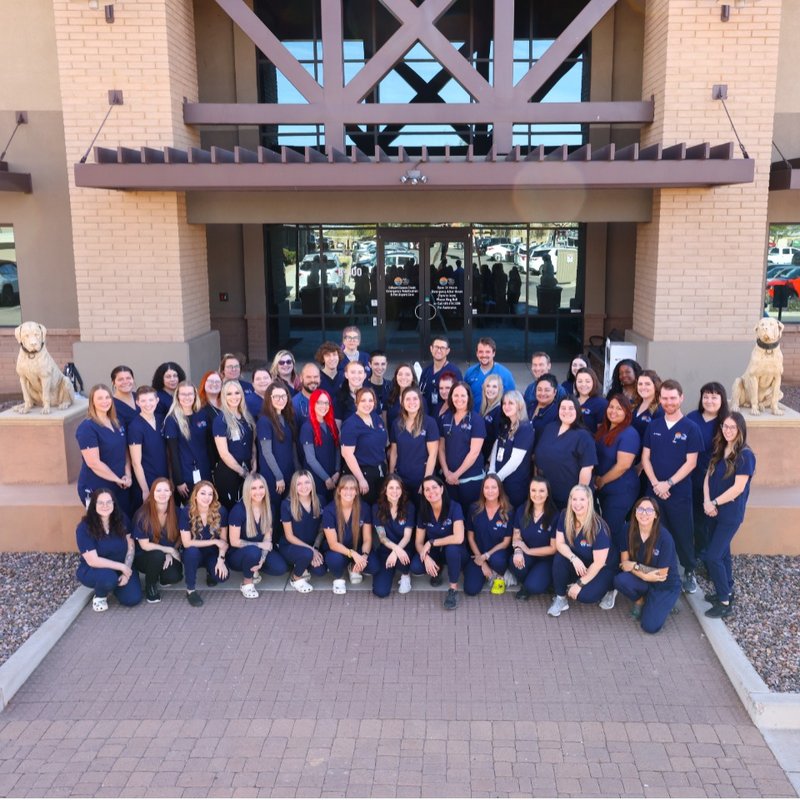 GILBERT QUEEN CREEK EMERGENCY VETERINARIAN & PET URGENT CARE Updated