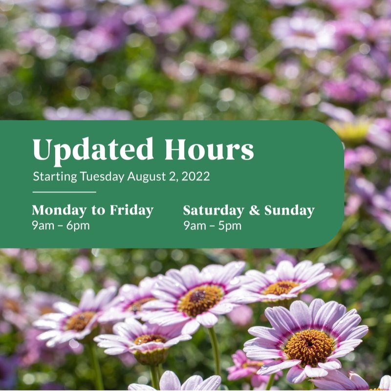 HEEMAN’S Updated October 2024 35 Photos & 12 Reviews 20422