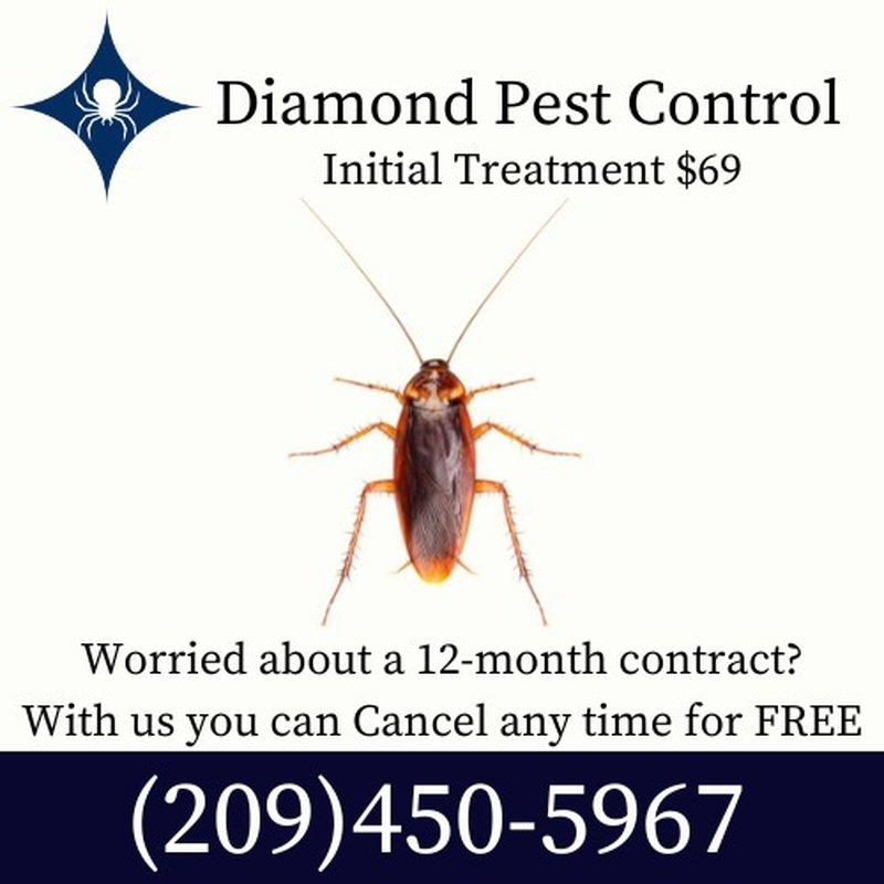 DIAMOND PEST CONTROL Updated October 2024 21 Photos PO Box 433