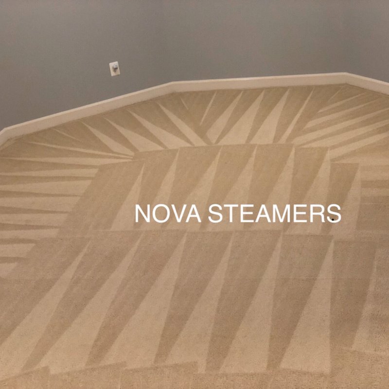 NOVA STEAMERS Updated September 2024 327 Photos & 65 Reviews