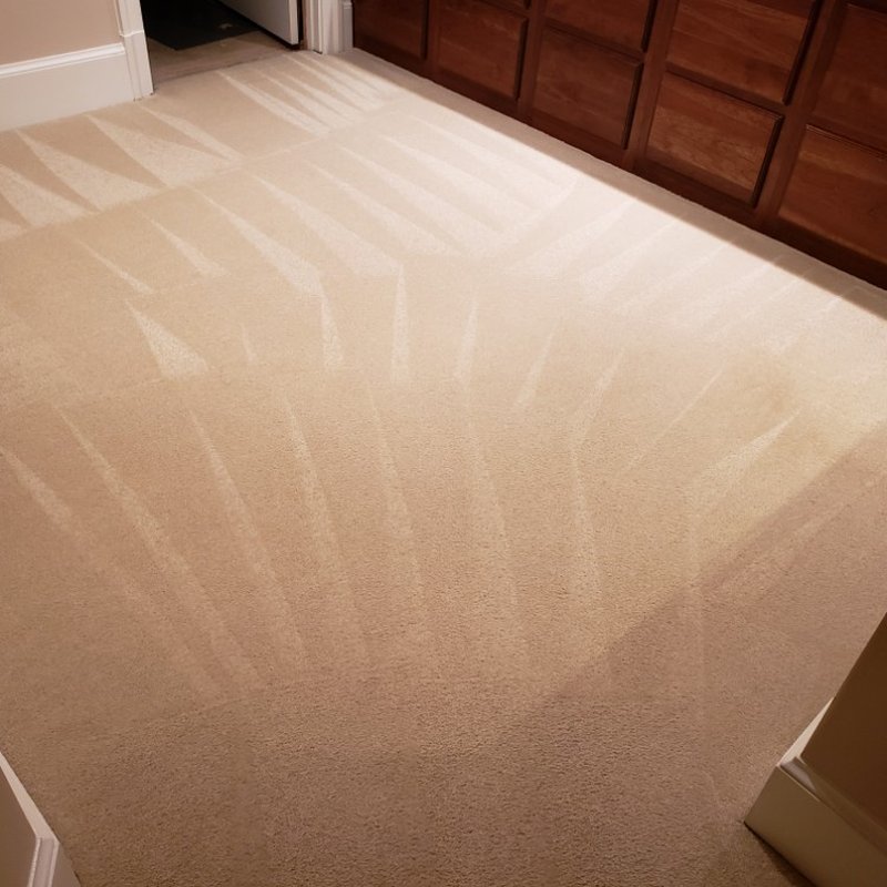 A2Z ACTION CARPET CLEANING & REPAIRS Updated October 2024 35 Photos