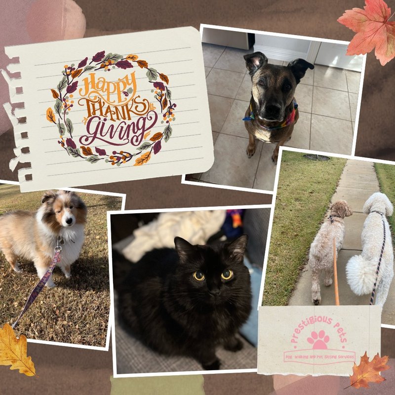 Ready for the Christmas Holiday? 🎄