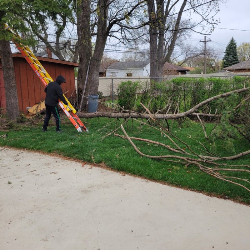 MARTINEZ CHICAGO JUNK REMOVAL 31 Photos Chicago, Illinois Junk