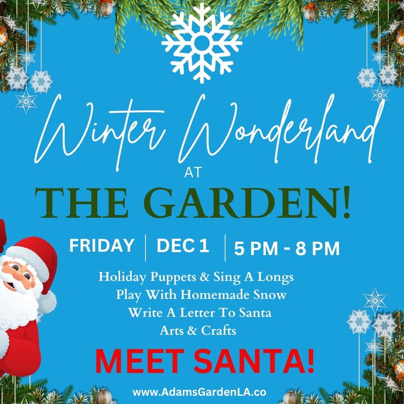 ADAM’S GARDEN INDOOR PLAYGROUND & PARTY SPACE Updated July 2024 867