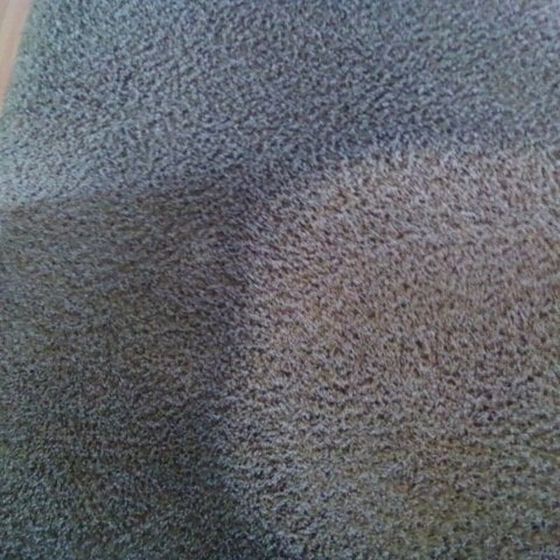 MIKE’S CARPET CLEANING Updated October 2024 21 Reviews San