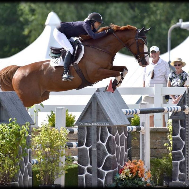 SUMMER HILL FARMS 44 Photos 1757 Bridle Bit Rd, Flower Mound, Texas