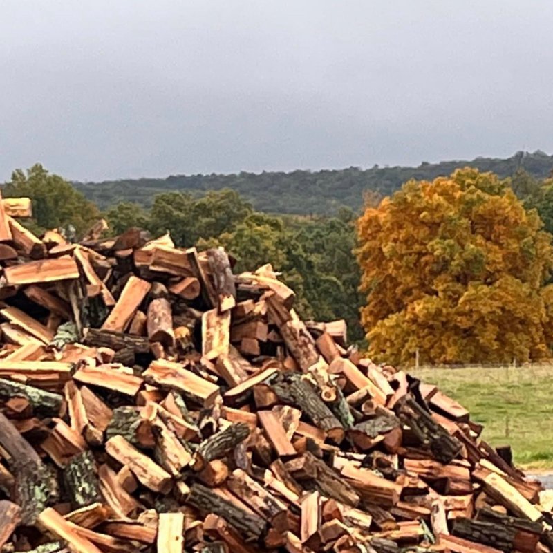 MONN’S FIREWOOD/MONN’S LOGGING Updated August 2024 75 Photos 1246