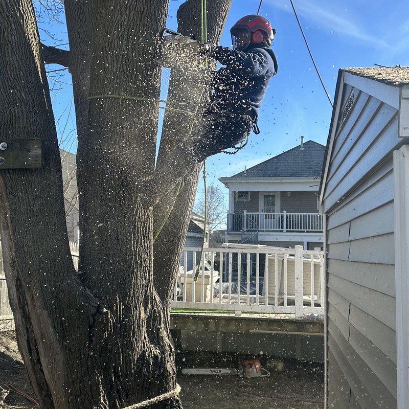 EDGAR AND SONS Updated August 2024 94 Photos & 46 Reviews 40