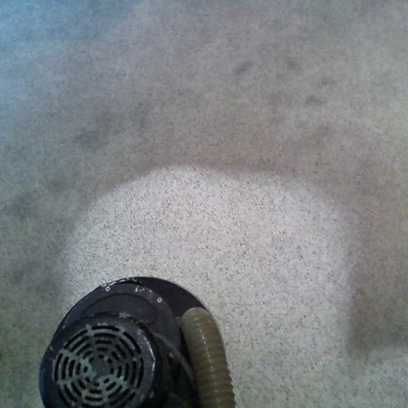 MIKE’S CARPET CLEANING Updated October 2024 21 Reviews San