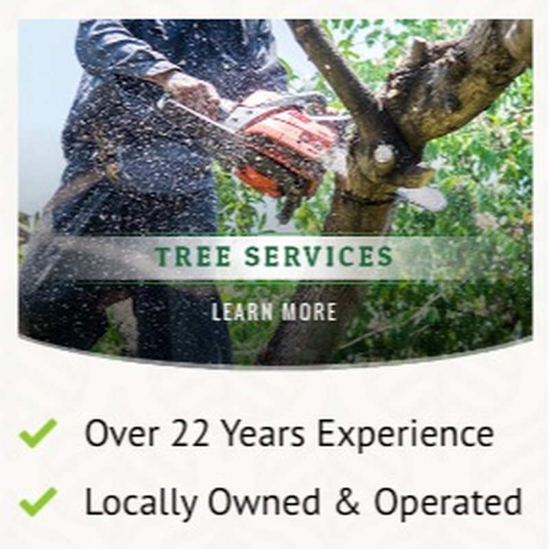 J & J PROFESSIONAL TREE SERVICE Updated August 2024 25 Photos