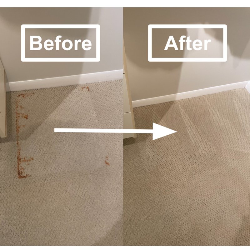 ADVANCED CARPET AND UPHOLSTERY CLEANING 105 Photos & 26 Reviews