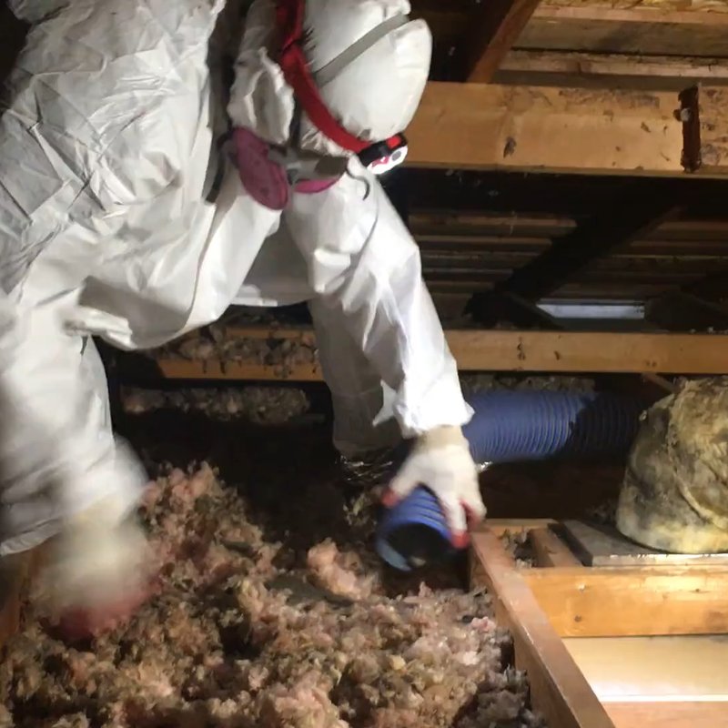 ATTIC DOCTOR - Updated July 2026 - 66 Photos & 24 Reviews - Bellevue ...