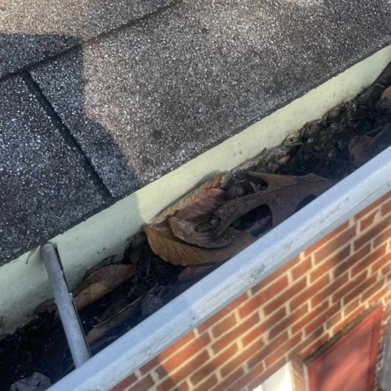 Gutter Services GUTTERS CLEANING PROTECTION Updated October 2024