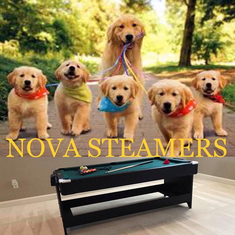 NOVA STEAMERS Updated September 2024 327 Photos & 65 Reviews