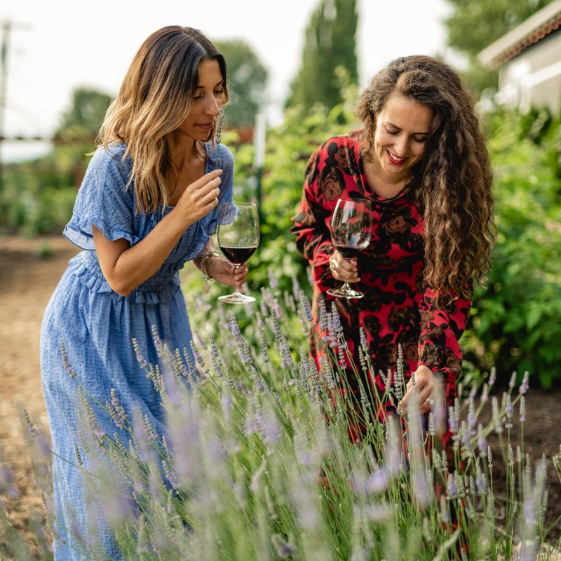 The Best Way to Visit Us