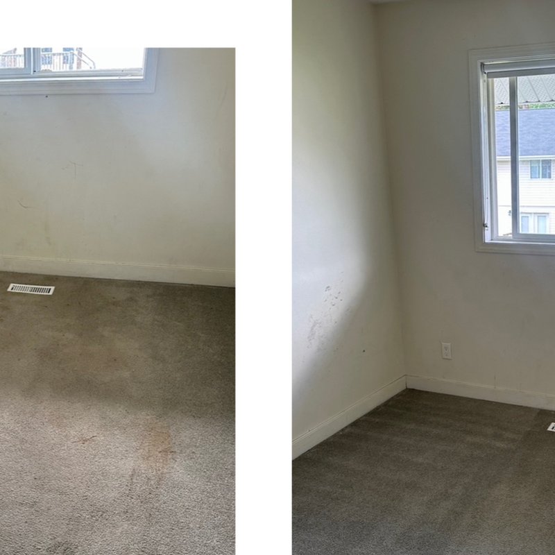 SPECIAL CARE CARPET & UPHOLSTERY CLEANING Updated July 2024 31 Photos 2807107 Avenue SE