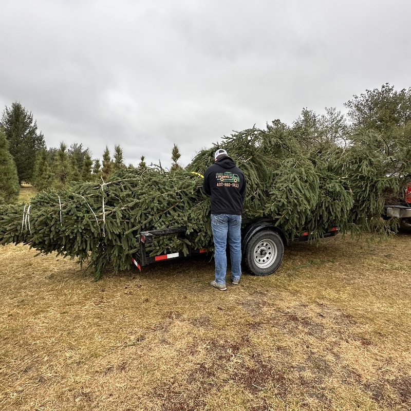 GRAND HAULING & JUNK REMOVAL Updated April 2024 39 Photos Omaha