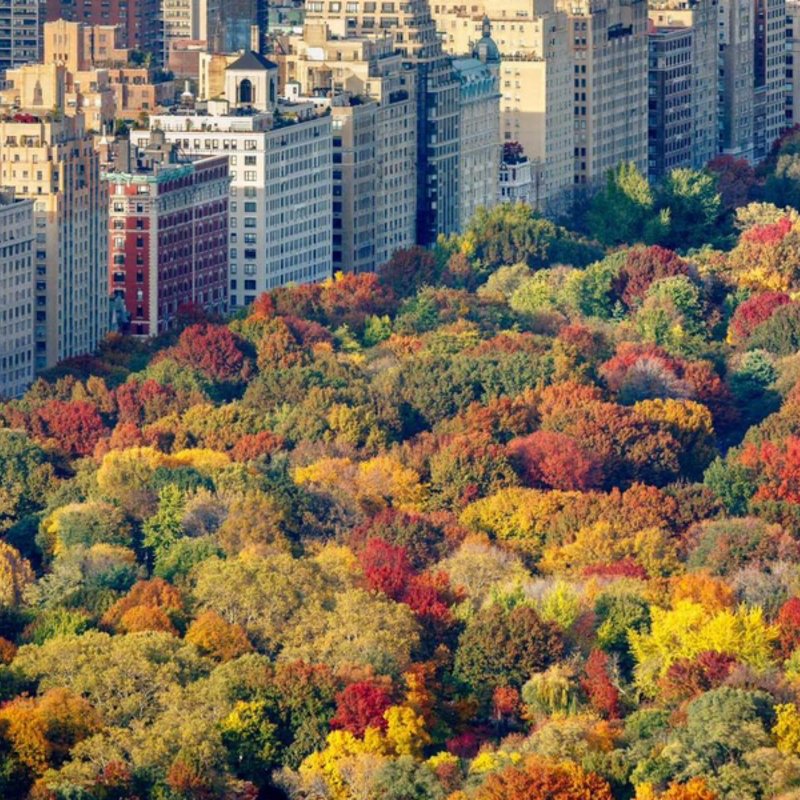 NORTH BROOKLYN MOBILE NOTARY Updated September 2024 Brooklyn, New