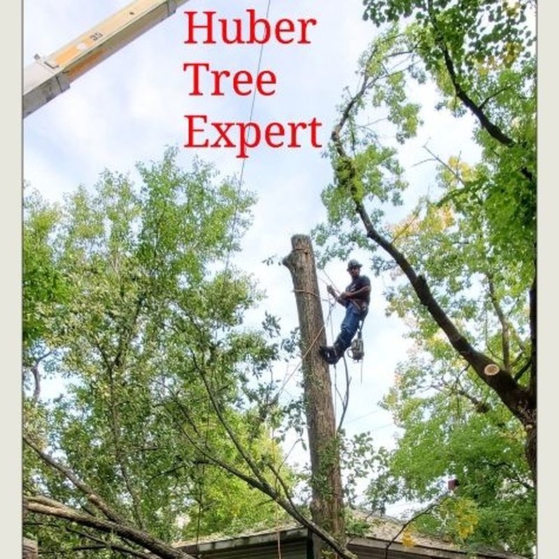 HUBER TREE EXPERT Updated September 2024 108 Photos & 25 Reviews